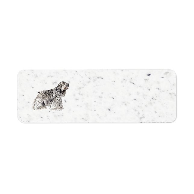 Étiquette spaniel américain (Devant)