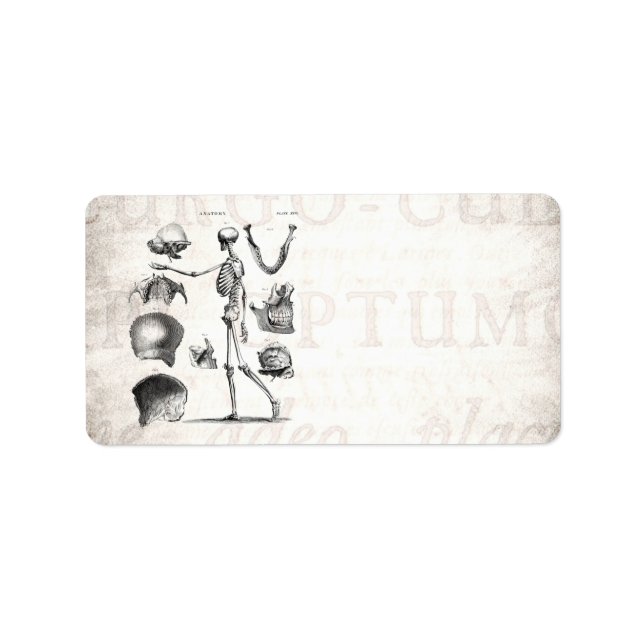 Étiquette Squelette d'antiquité squelette des années 1800 vi (Devant)