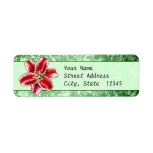 Étiquette Stargazer Lily