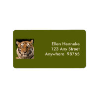 Sumatran Tiger Portrait