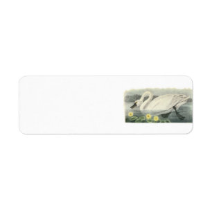 Étiquette Swan de toundra par Audubon