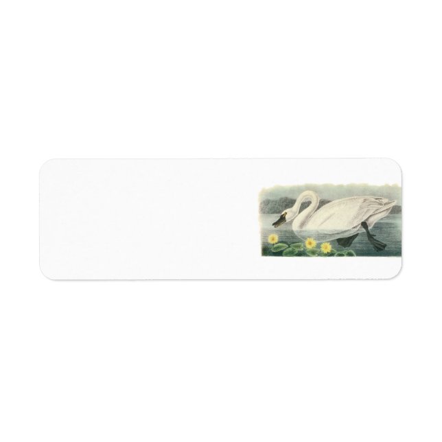 Étiquette Swan de toundra par Audubon (Devant)