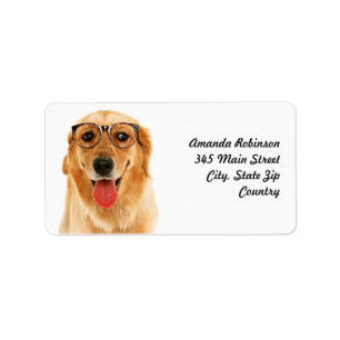 Étiquette Sympa chien Golden Retriever