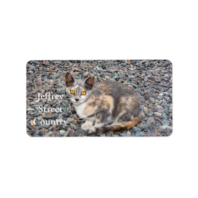 Étiquette Taie d'oreiller de chat (Devant)