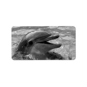 Étiquette Tête de dauphin en noir et blanc ouvert de bouche