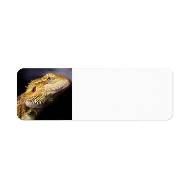 Étiquette Tête de dragon à tête nue 2 (Devant)