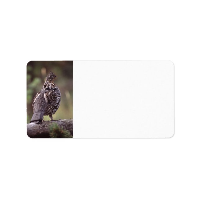 Étiquette tétras (Devant)