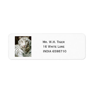 Étiquette Tigre blanc
