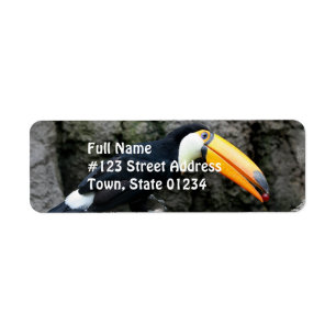 Étiquette Toucan avec la baie