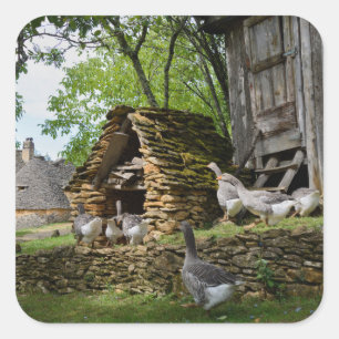Étiquette traditionnelle de la ferme d'oies de foi