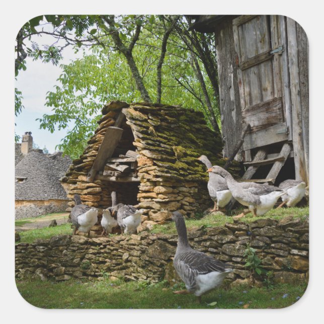 Étiquette traditionnelle de la ferme d'oies de foi (Devant)