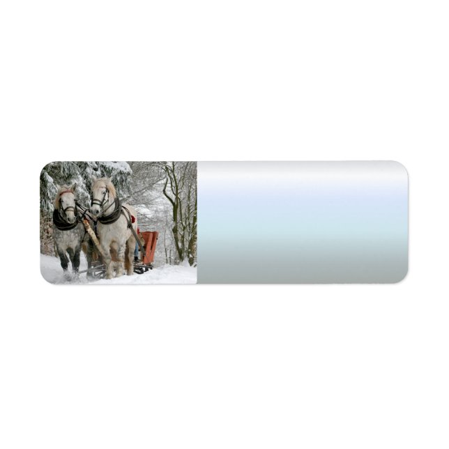Étiquette traîneau+ride, neige, forêt, cheval, hiver, blanc, (Devant)