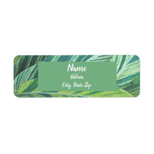 Étiquette Tropiques de feuillage vert rayé Feuilles tropicau