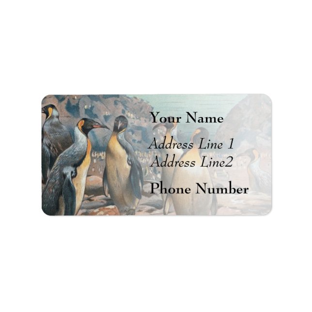 Étiquette Troupeau de pingouins vintage (Devant)
