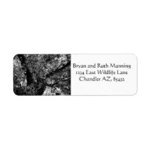 Trouvez-moi dans les arbres