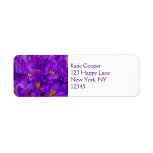 Étiquette Un champ de crocus violets