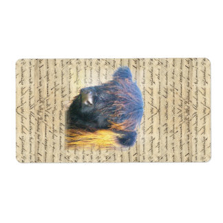 Étiquette Vache de Highland