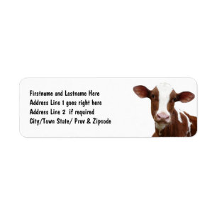 Étiquette Vache laitière Brown et blanche