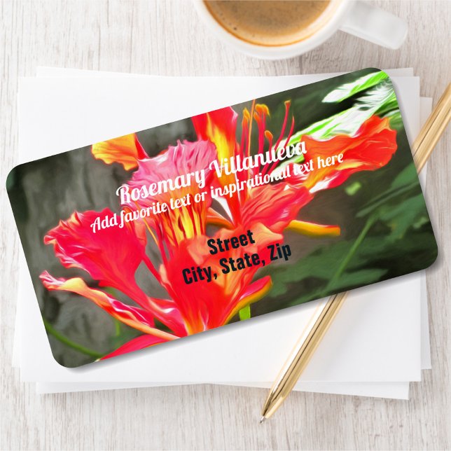 Étiquette Vallarta Flaming Beauty 1583 Adresse (Créateur téléchargé)