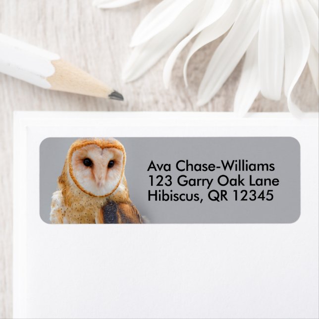 Étiquette Vignetetted Serene Barn Owl (En situation)