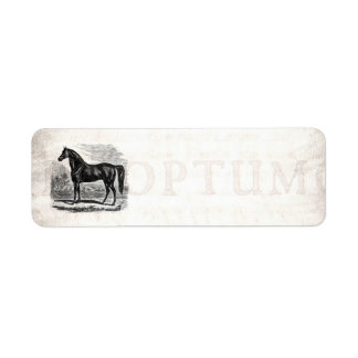 Étiquette Vintage 1800 s Horse - Morgane Equestrian