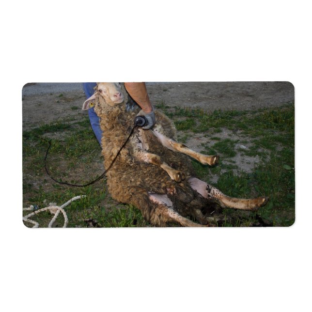 Étiquette Vis du mouton (Devant)