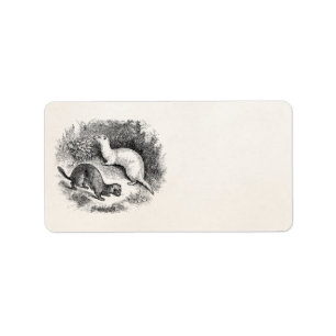Étiquette Visons vintages de belettes de furets de 1800s de