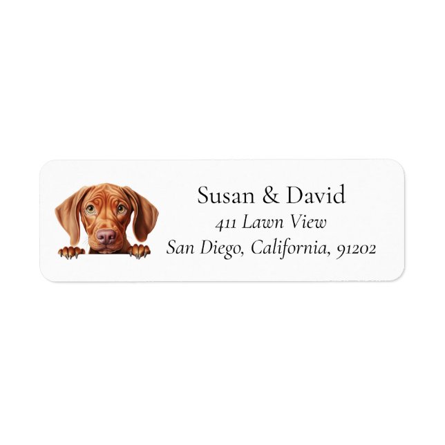 Étiquette Vizsla Chien race Amateurs d'animaux domestiques (Devant)