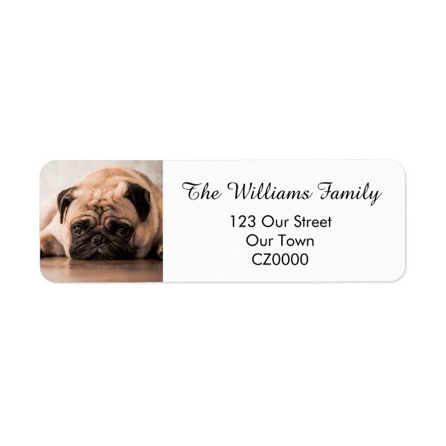 Étiquette Votre adresse photo personnalisée pour animal de c (Devant)