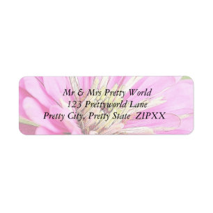 Étiquette Vue en gros plan d'un zinnia rose sensible