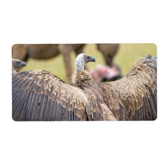 Étiquette Vulture (Devant)