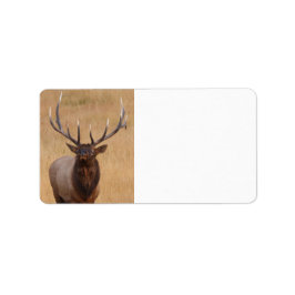 Étiquette wapiti
