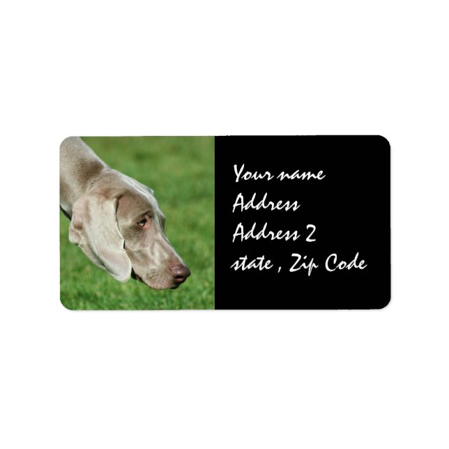 Étiquette Weimaraner (Devant)