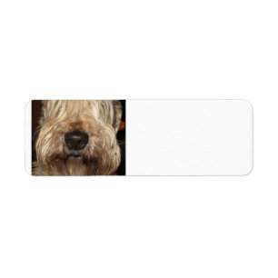 Étiquette wheaton enduit mou terrier.png