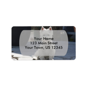 Étiquette White West Highland Terrier assis sur le trottoir