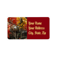 Whitetail En Automne