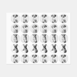 Étiquettes Aesthetic Four Adorable Puppies with Toilet Paper