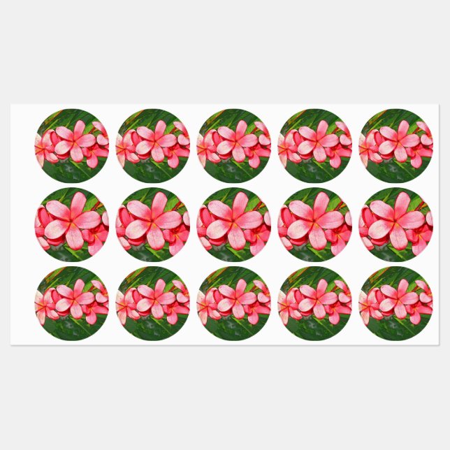 Étiquettes Art de Frangipanier Tropical Rose (Feuille)
