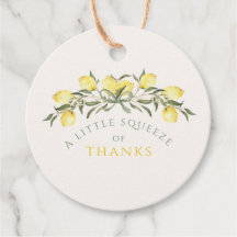 A Squeeze of Thanks Lemon Citrus Baby Shower