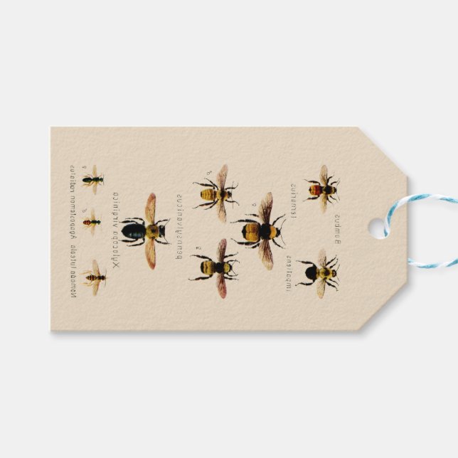 Étiquettes-cadeau Abeilles vintages (Devant (Horizontal))