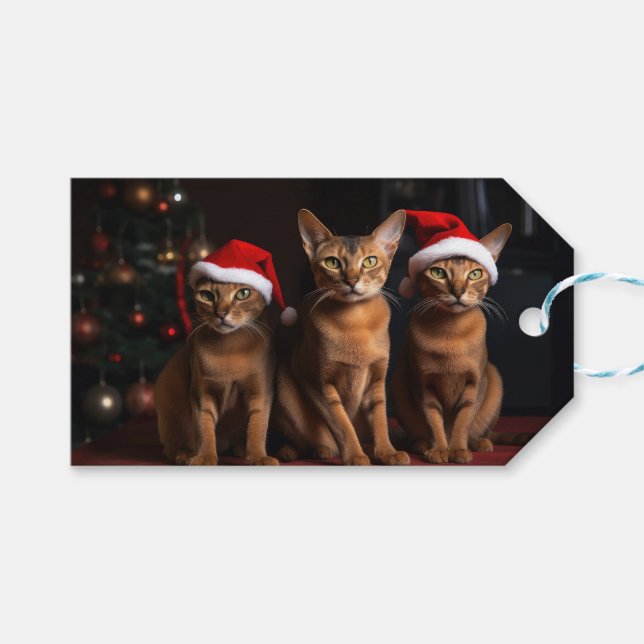 Étiquettes-cadeau Abyssinian près de la cheminée Noël (Devant (Horizontal))