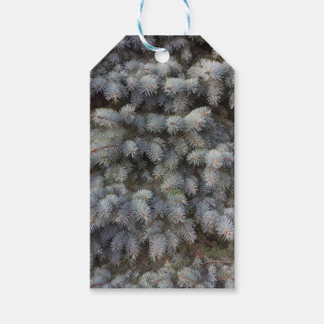Étiquettes-cadeau Acier, gris, vert et bleu épicéa moyen classe (Devant)