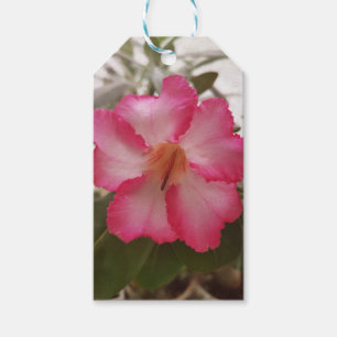 Étiquettes-cadeau Adenium rose fleurs blanches fleurs florales natur