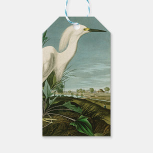 Étiquettes-cadeau Aigrette neigeuse d'Audubon oiseau de rivage ornit