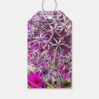 Allium & Fleurs d'été