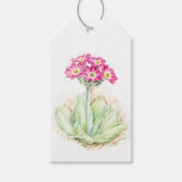 Étiquettes-cadeau Alpine primrose aquarelle fleur fine art