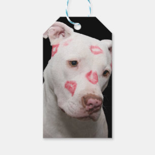 Étiquettes-cadeau Amour Pitbull modifiable