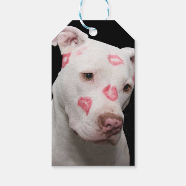 Étiquettes-cadeau Amour Pitbull modifiable (Devant)
