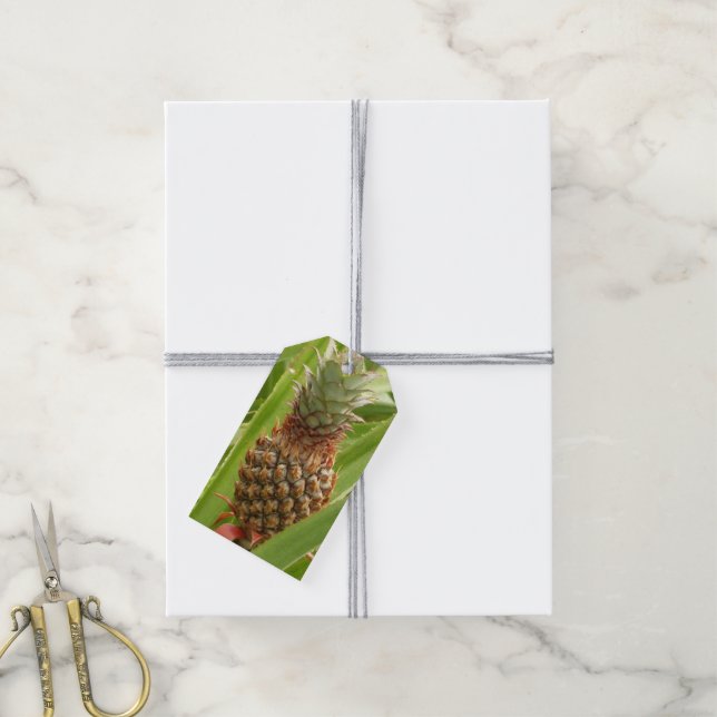 Étiquettes-cadeau Ananas sauvage Fruit tropical dans la nature (Avec de la ficelle)
