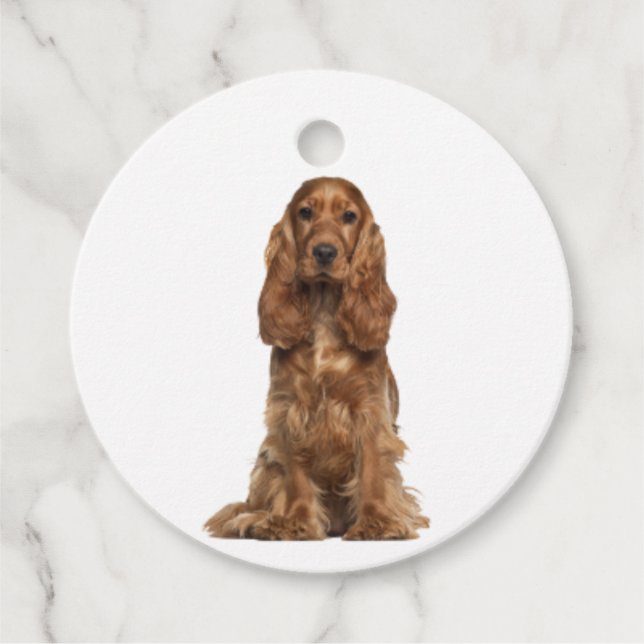 Étiquettes Cadeau Anglais Cocker Spaniel | (Devant)